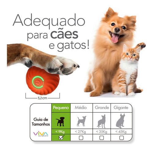 Bola Inteligente Anda Gira Mexe Sozinha Pets Gatos Cachorros